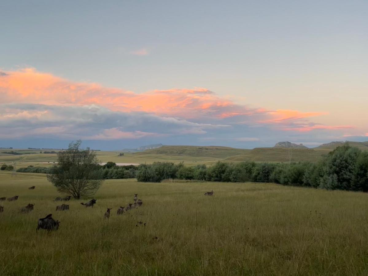 Buffalo Hills Private Game Reserve Harrismith Dış mekan fotoğraf