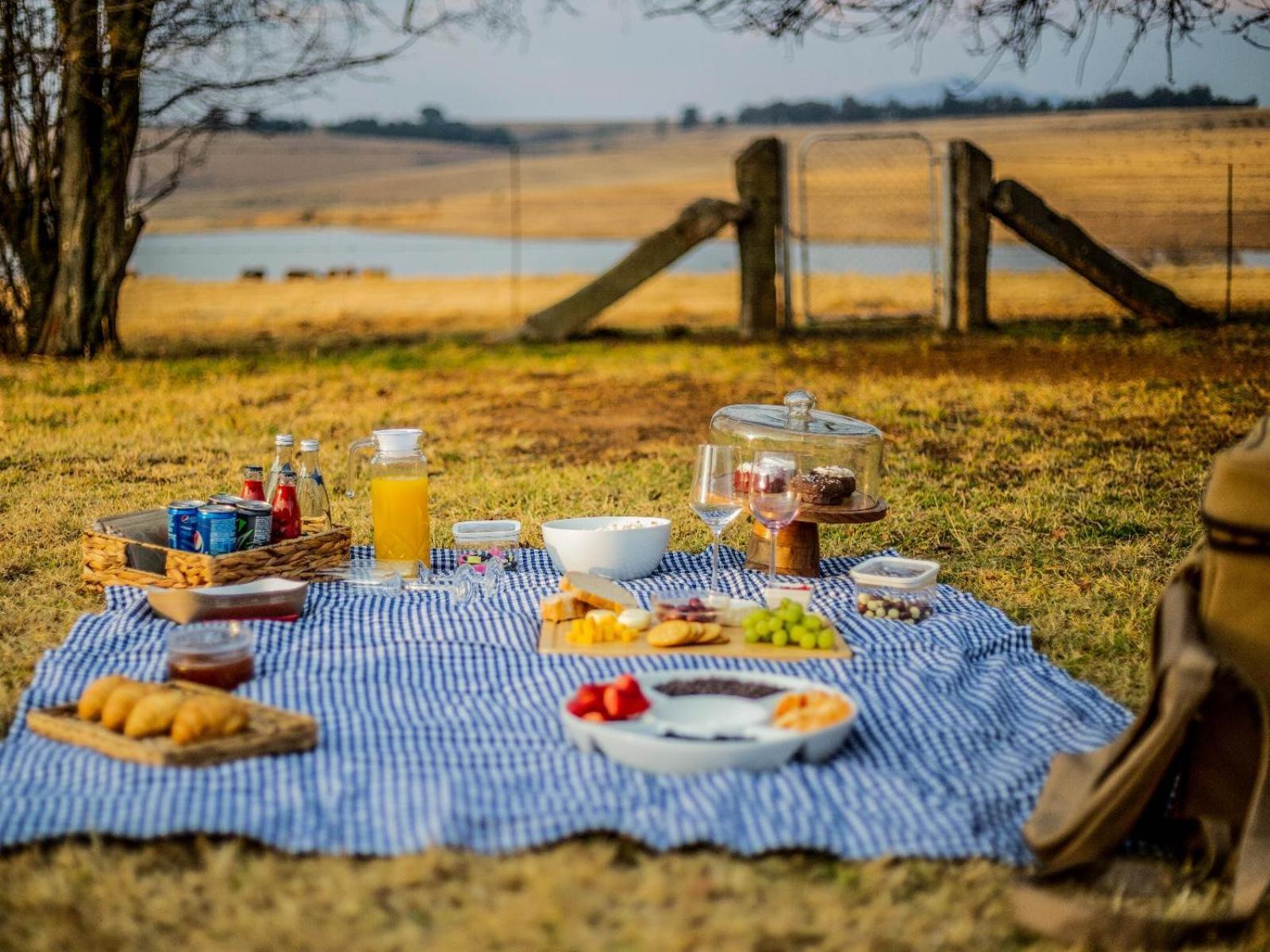Buffalo Hills Private Game Reserve Harrismith Oda fotoğraf