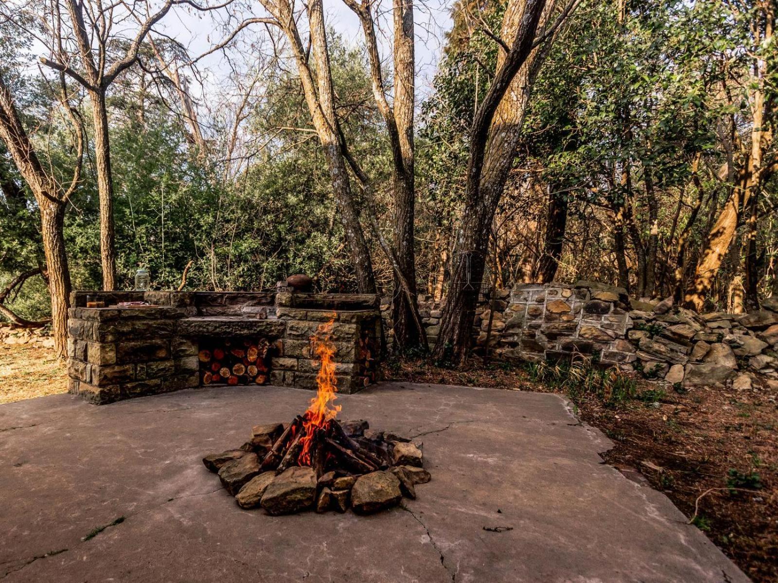 Buffalo Hills Private Game Reserve Harrismith Oda fotoğraf