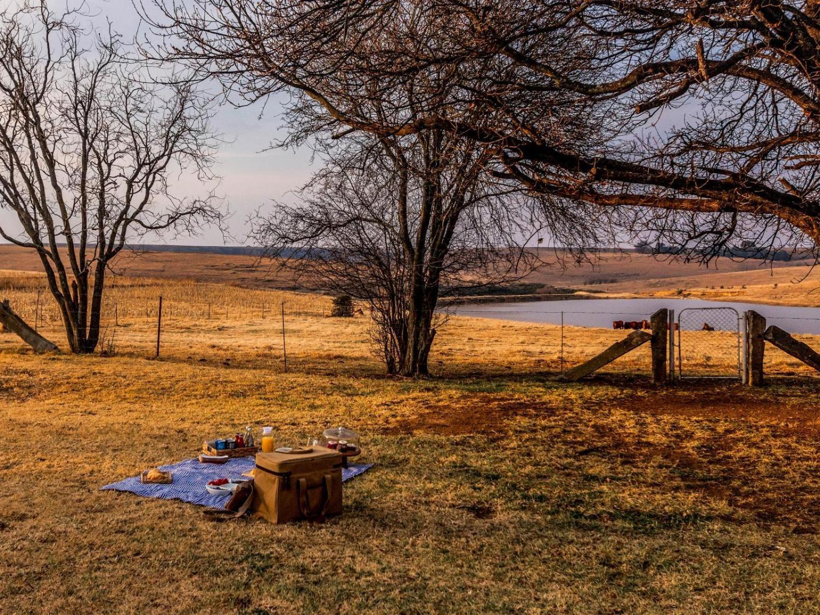 Buffalo Hills Private Game Reserve Harrismith Oda fotoğraf